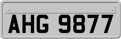 AHG9877