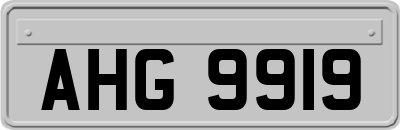 AHG9919