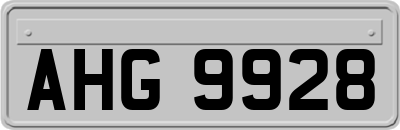 AHG9928