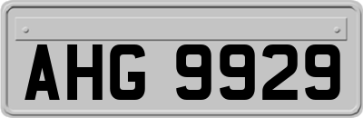 AHG9929