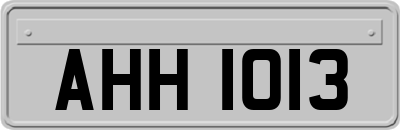 AHH1013