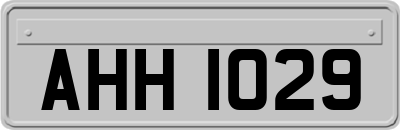 AHH1029