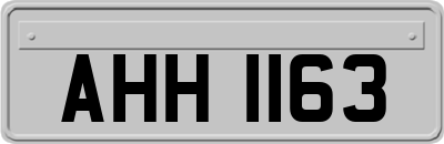 AHH1163