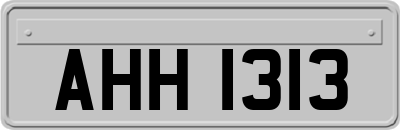 AHH1313
