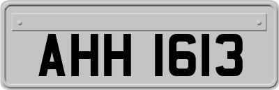 AHH1613