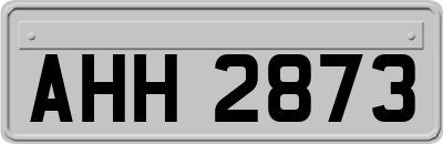 AHH2873