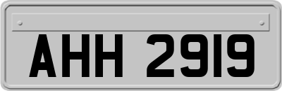 AHH2919
