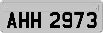 AHH2973