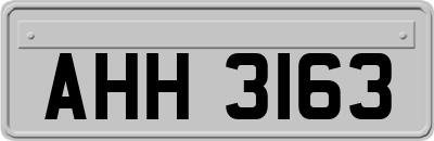 AHH3163