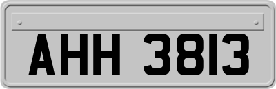AHH3813