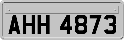 AHH4873