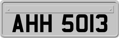 AHH5013