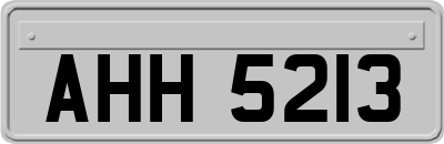 AHH5213