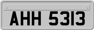 AHH5313
