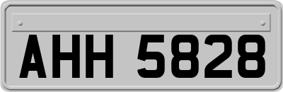 AHH5828