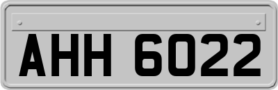 AHH6022