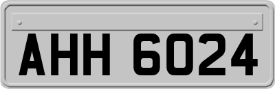AHH6024