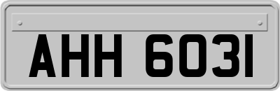AHH6031