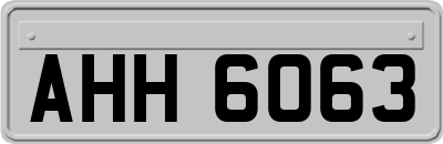 AHH6063