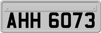 AHH6073