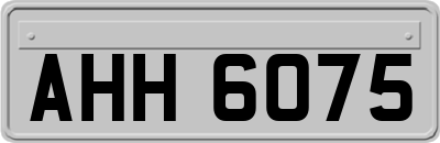 AHH6075