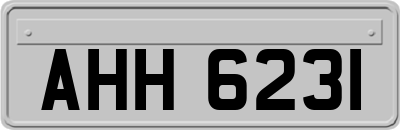 AHH6231