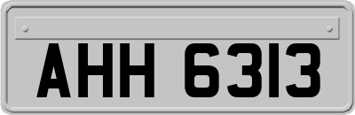 AHH6313
