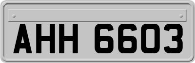 AHH6603