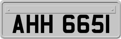 AHH6651