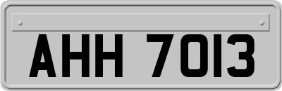 AHH7013