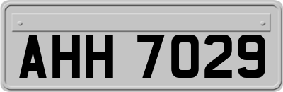 AHH7029