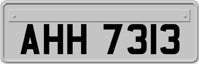 AHH7313