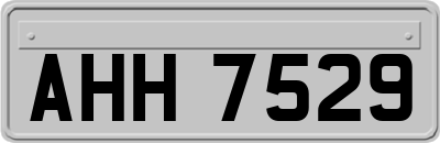 AHH7529