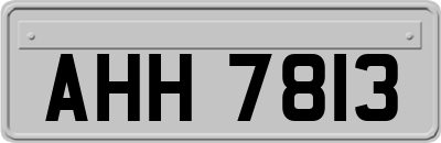AHH7813