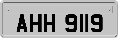 AHH9119