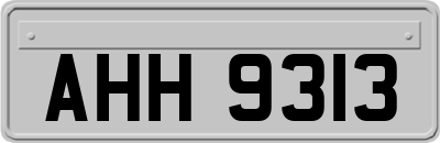 AHH9313
