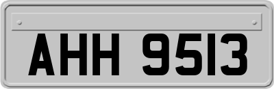AHH9513