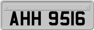 AHH9516