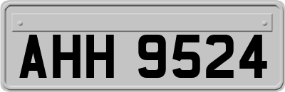 AHH9524