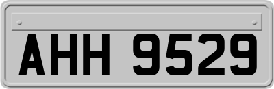 AHH9529