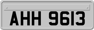 AHH9613