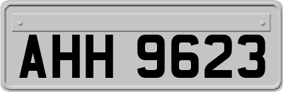 AHH9623