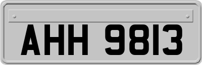 AHH9813