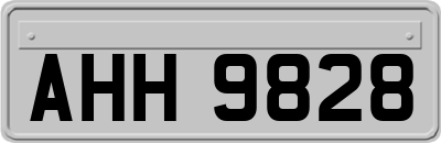 AHH9828