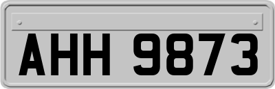 AHH9873