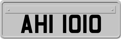 AHI1010