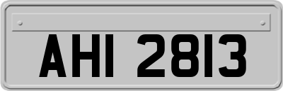 AHI2813