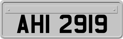 AHI2919