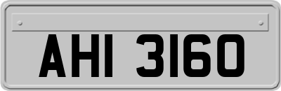 AHI3160