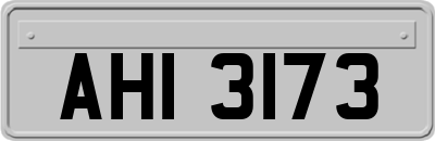 AHI3173